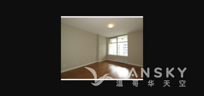 250309130440_9288picture 4.jpeg